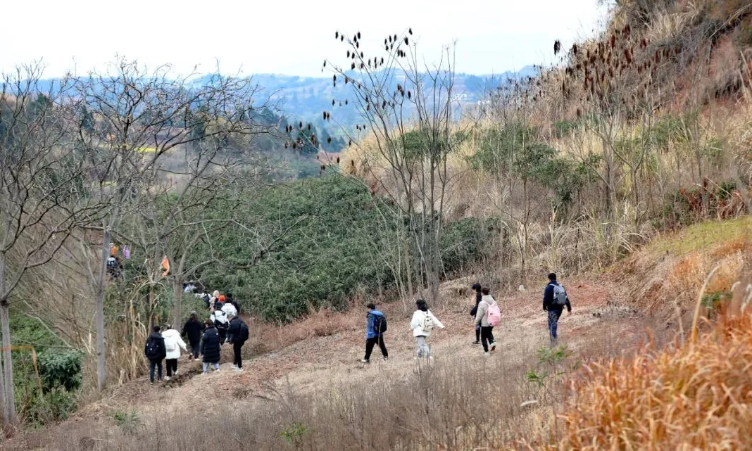 企业微信截图_17405341673023.png